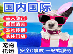 丽江三义航空货运国际宠物托运 【国